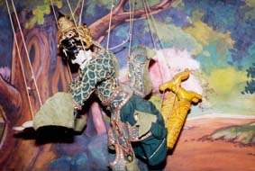 Garuda - Photo by Elisabeth den Otter
