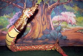 Naga - Photo by Elisabeth den Otter