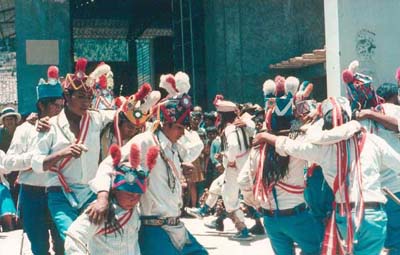Shaqshas (Photograph: E. den Otter)