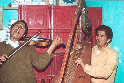 Violin and harp players (Photograph: E. den Otter)